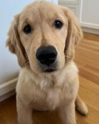 charlie_may